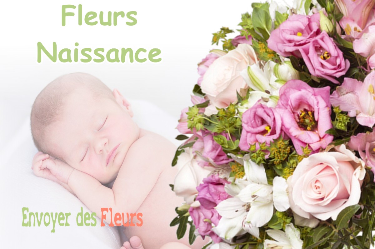 lIVRAISON FLEURS NAISSANCE à SAINT-GAUDENS